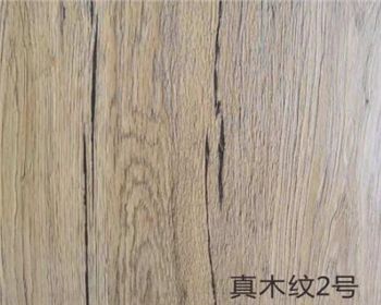 真木紋2號 真木紋2號